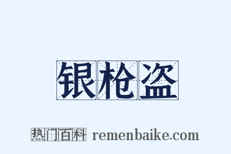 银枪盗是什么意思的图片